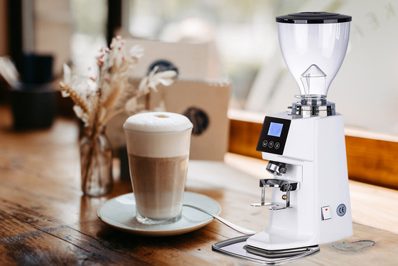 Kaffeemühle aus Edelstahl 370 W durch Beanglass 110 V